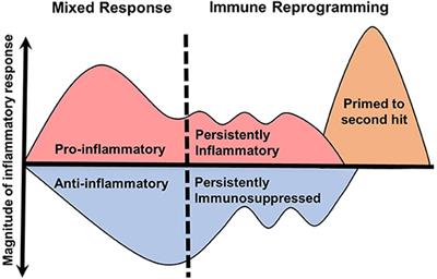 Sepsis and Nosocomial Infection: Patient Characteristics, Mechanisms, and Modulation